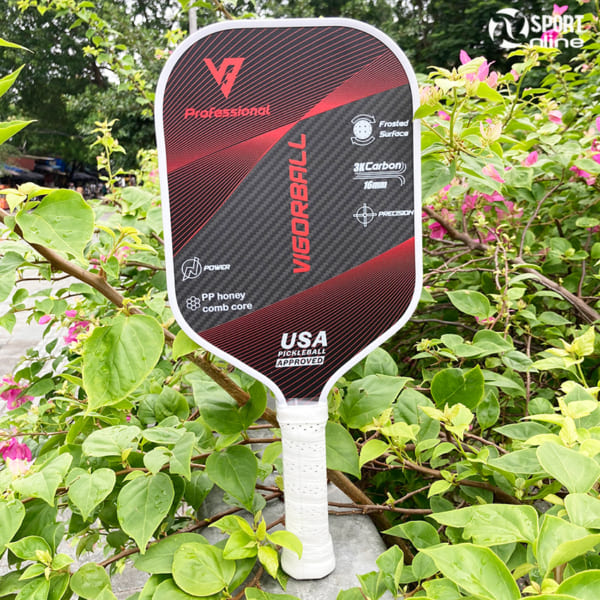 Vợt Pickleball Vigorball Professional